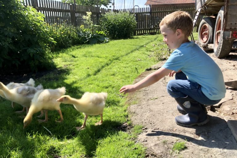 „Landwirtschaft für kleine Hände“ startet wieder