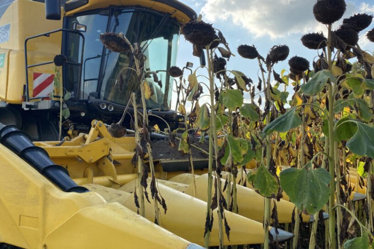 Landwirt Pülsch produziert regionales Wildvogelfutter