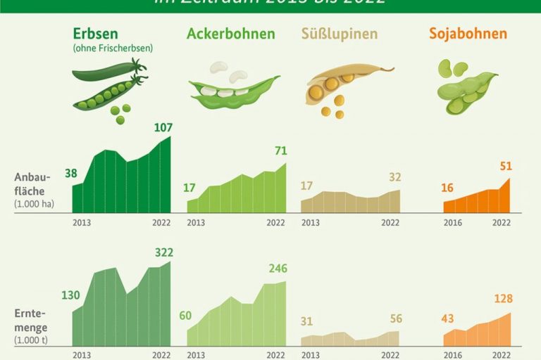 Bohnen machen das Brot fluffig