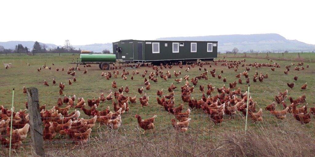 Bunte Eier aus Niedersachsen liegen zu Ostern im Nest