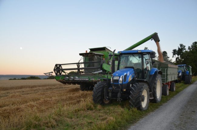 Tag des Mehls am 20. März feiert das „weiße Gold“