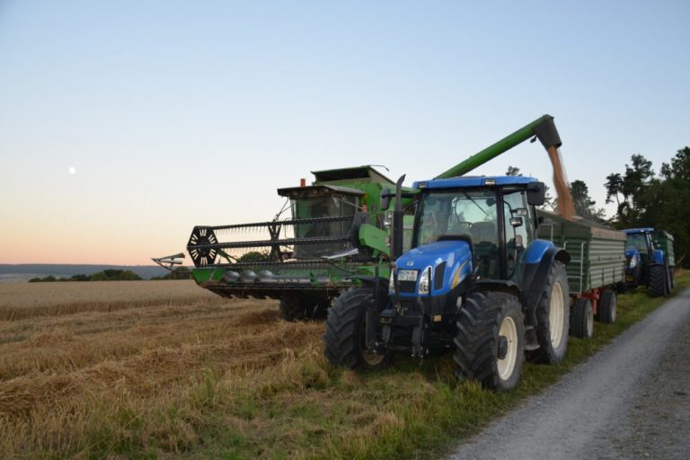 Tag des Mehls am 20. März feiert das „weiße Gold“