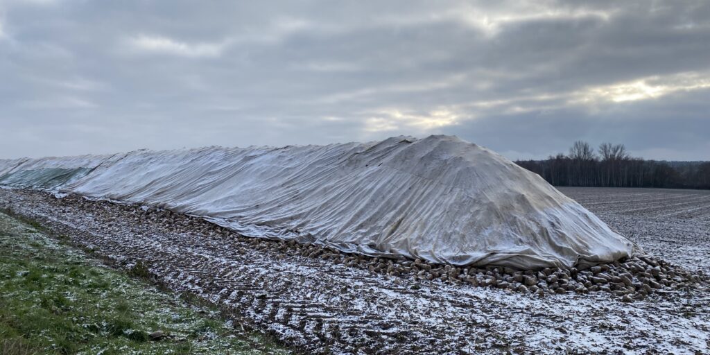Weniger Zucker in Niedersachsen, Deutschland und EU