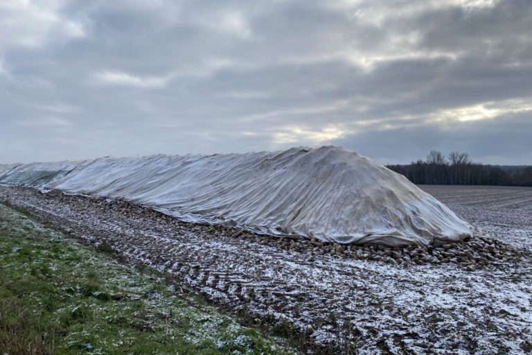 Weniger Zucker in Niedersachsen, Deutschland und EU