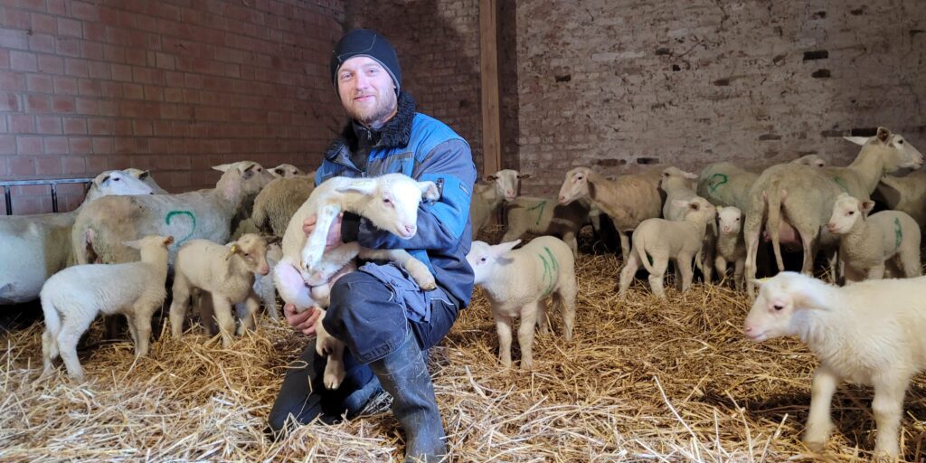 Mit Schafen und Lämmern die Landschaft pflegen