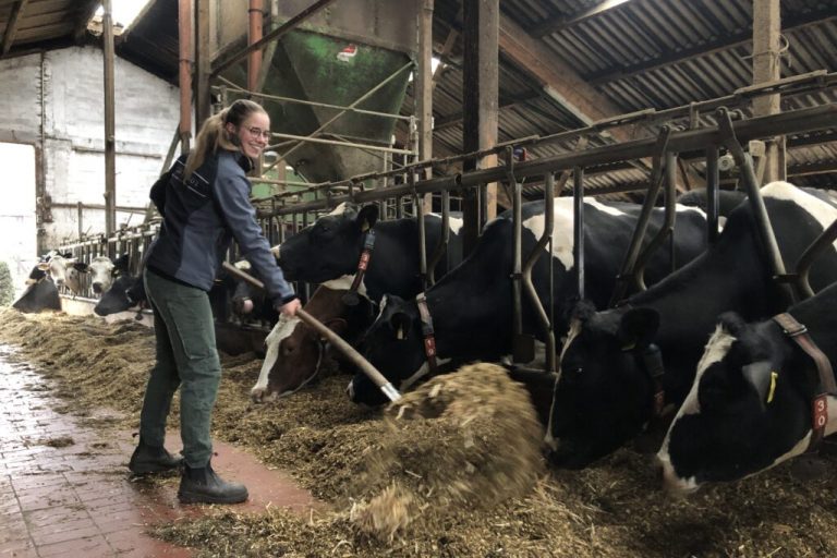 Frauen stehen in der Landwirtschaft ihren Mann