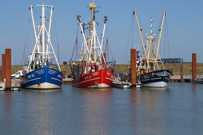 Küstenfischerei bedroht – Proteste bei der AMK in Büsum