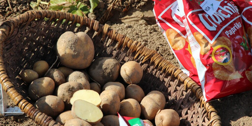 Landesgartenschau öffnet am 14. April ihre Tore