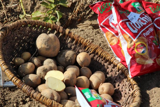 Landesgartenschau öffnet am 14. April ihre Tore