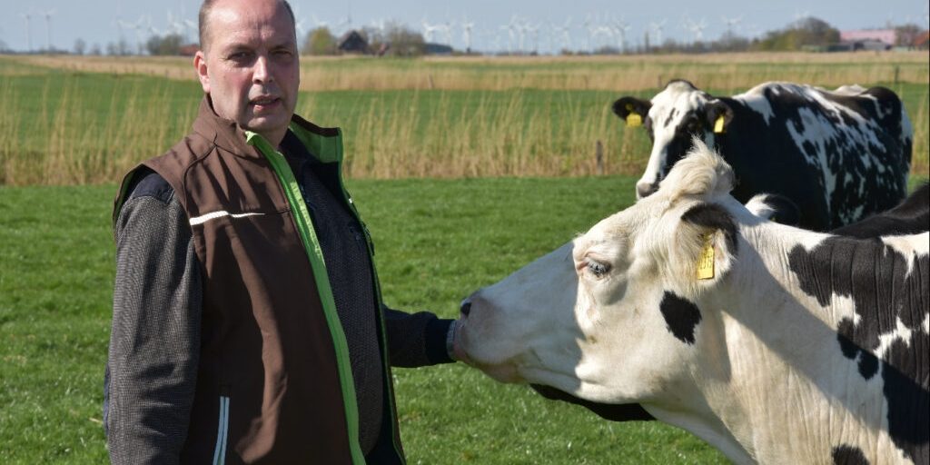 Verbraucherpreise sinken – Milchpreise auch