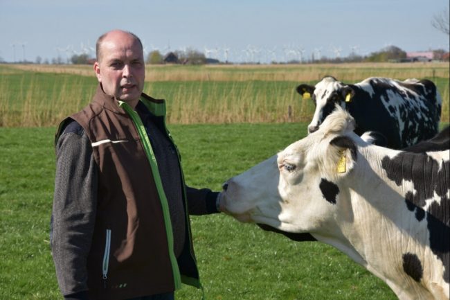 Verbraucherpreise sinken – Milchpreise auch