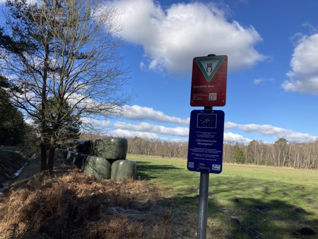 Differenzierung beim Wiedervernässen von Mooren gefordert