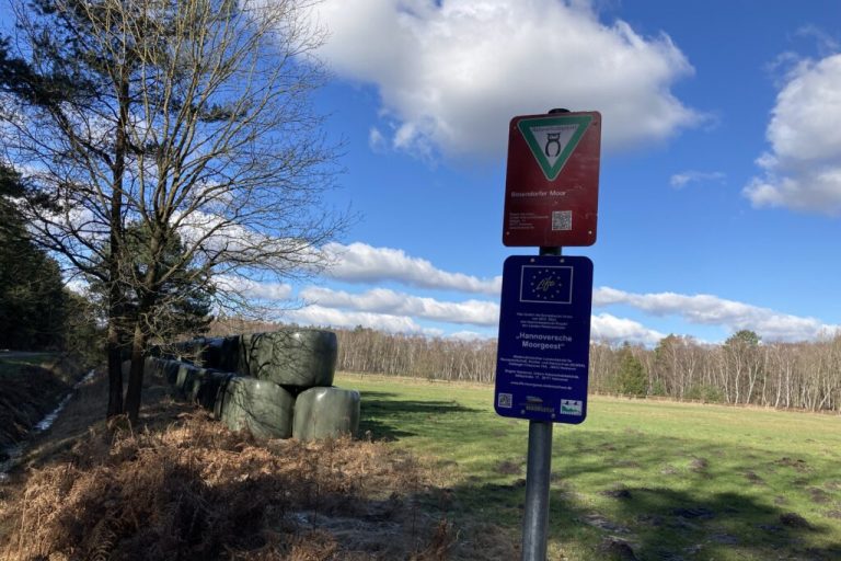 Differenzierung beim Wiedervernässen von Mooren gefordert