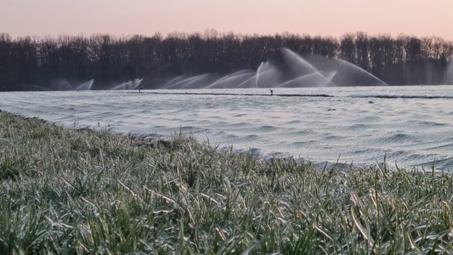 Die Bauern wollen und müssen zeitnah aufs Feld