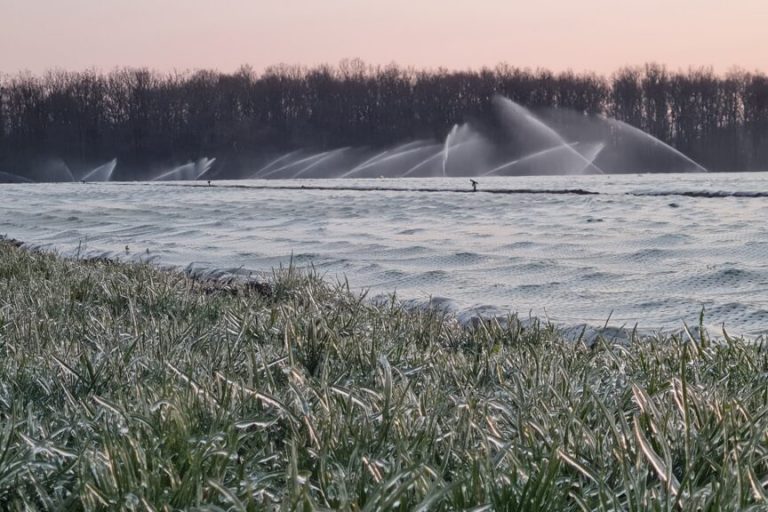 Die Bauern wollen und müssen zeitnah aufs Feld