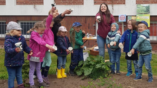 Bienenfreunde legen bunte Blühstreifen an
