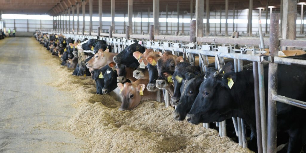 Landvolk: Bauernhöfe sind keine Industriebetriebe