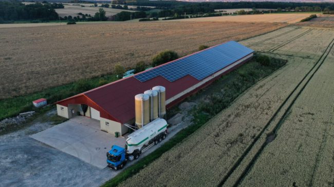 Umbau der Tierhaltung darf nicht in Sackgasse führen