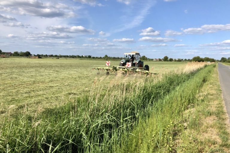 Erster Schnitt sichert Futtergrundlage für die Kühe