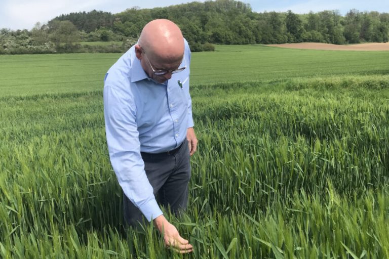 Ordentlich Regen wäre jetzt für Landwirtschaft wichtig