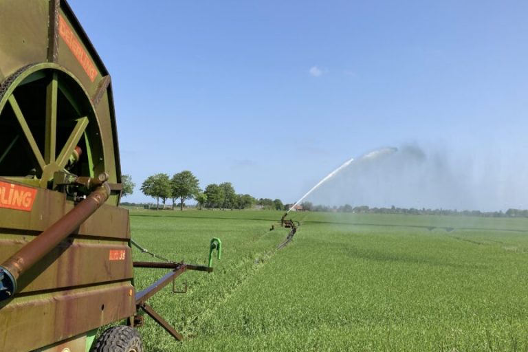 Wasser dient dem Erzeugen von Lebensmitteln