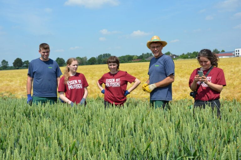 Aktivistinnen arbeiten beim konventionellen Schweinehalter mit