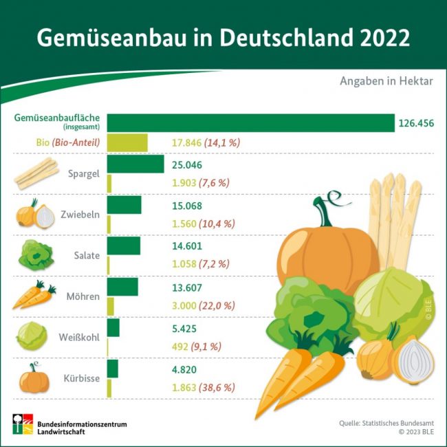 Niedersachsen ist ein großer Gemüsegarten