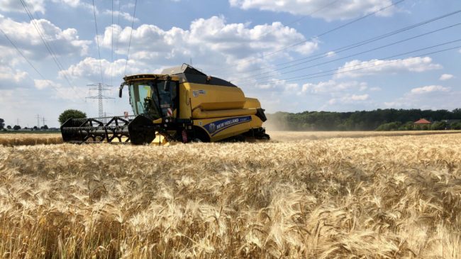 Landwirte beginnen mit dem Dreschen der Gerste