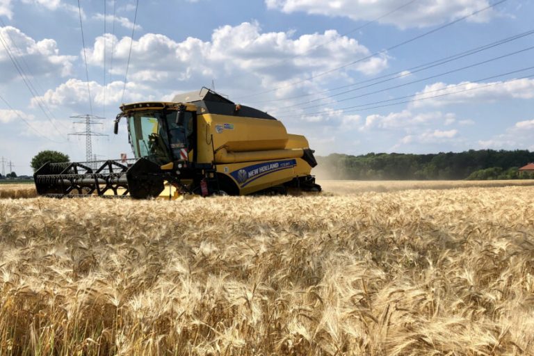 Landwirte beginnen mit dem Dreschen der Gerste