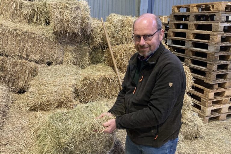Immense Wertschöpfung durch die Landwirtschaft