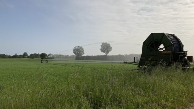 Landvolk: Politik muss Wassermanagement neu denken