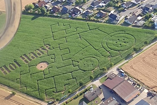 Niedersachsens Maislabyrinthe laden zum Verirren ein
