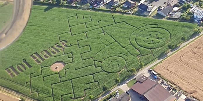 Niedersachsens Maislabyrinthe laden zum Verirren ein