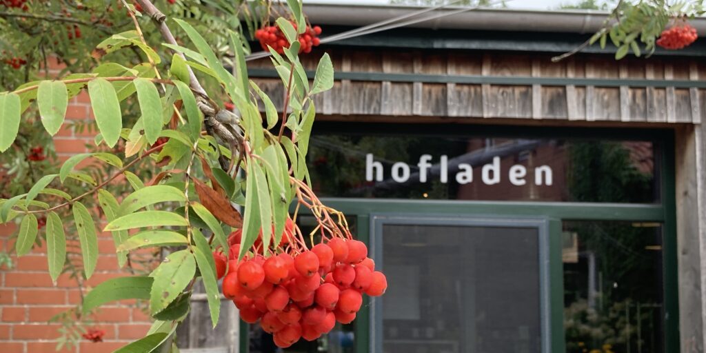 Wettbewerb: Mach mit und iss, was um die Ecke wächst