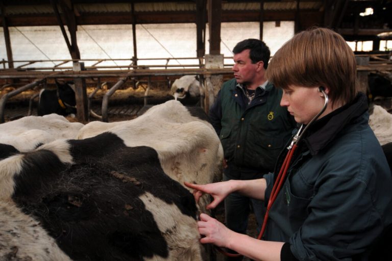Landvolk und Tierärztekammer schlagen Alarm