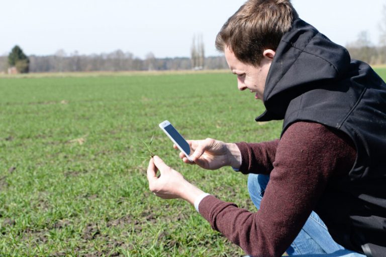 Landjugend vermittelt Blick über den Tellerrand