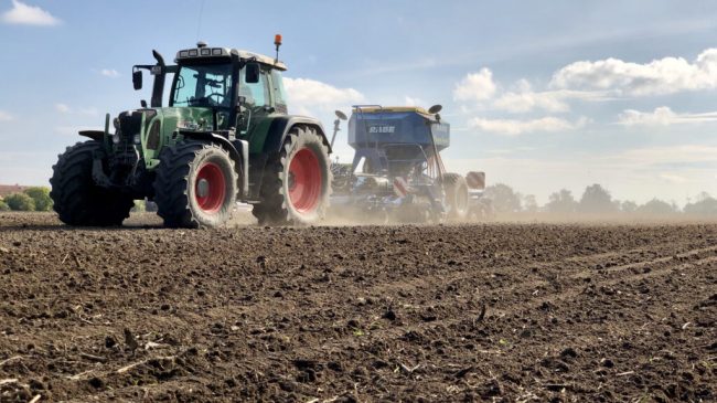 Der Getreideernte folgt die Herbstaussaat