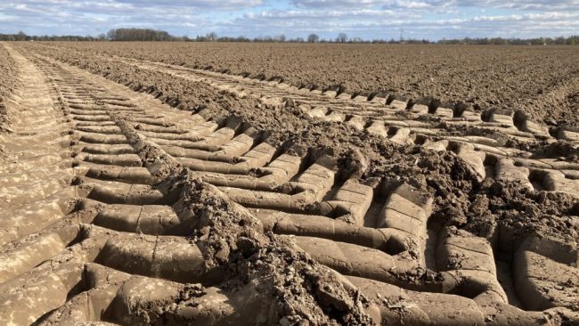 Knapper werdenden Boden produktiver nutzen