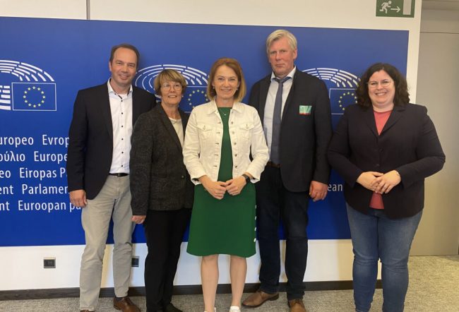 Wolf: Es muss jetzt gehandelt und nicht geredet werden