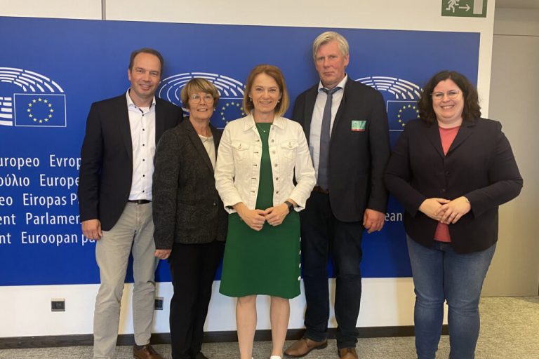 Wolf: Es muss jetzt gehandelt und nicht geredet werden