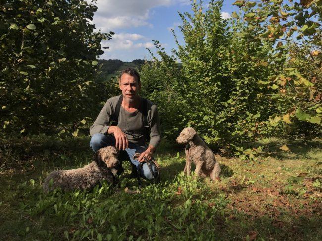 Der Juli hat in Niedersachsen das Trüffeljahr gerettet