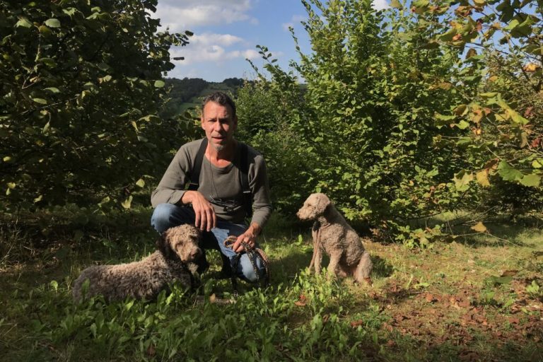 Der Juli hat in Niedersachsen das Trüffeljahr gerettet