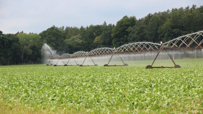„Wo drückt der Wassermangel wen?“