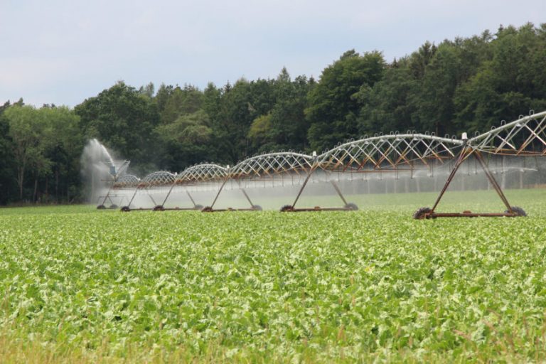 „Wo drückt der Wassermangel wen?“