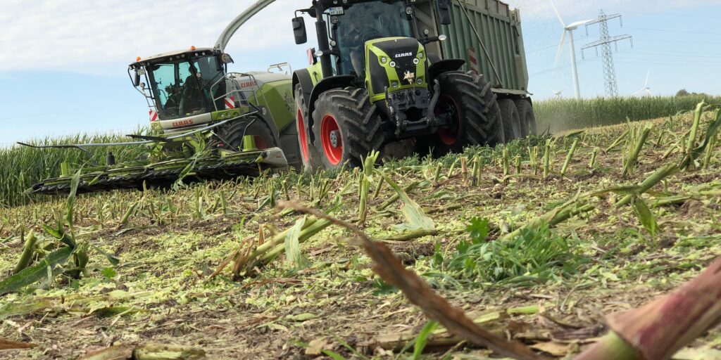 Maisernte ist in vollem Gang – auch in der Dunkelheit