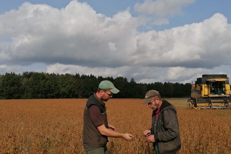Leichter Zuwachs beim Anbau von Sojabohnen