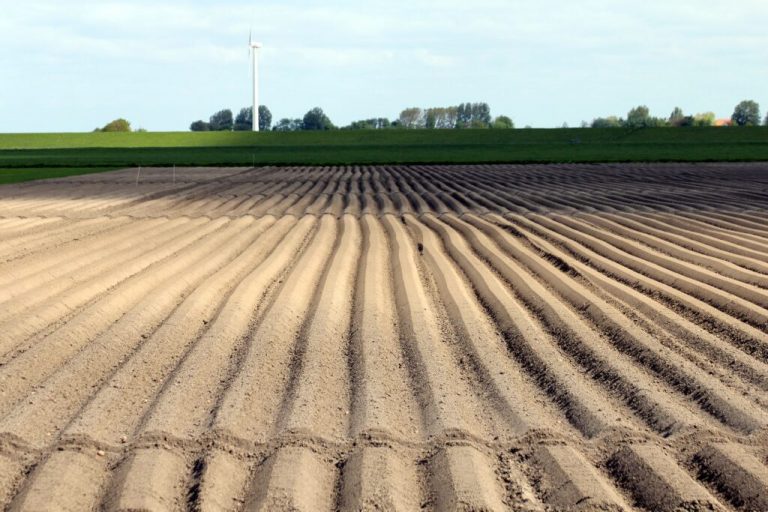 Moderner Ackerbau unterstützt den Klimaschutz