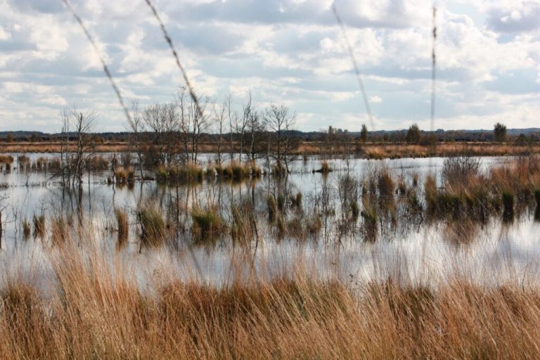 „Moorwärts“-Gipfel im Landkreis Osterholz