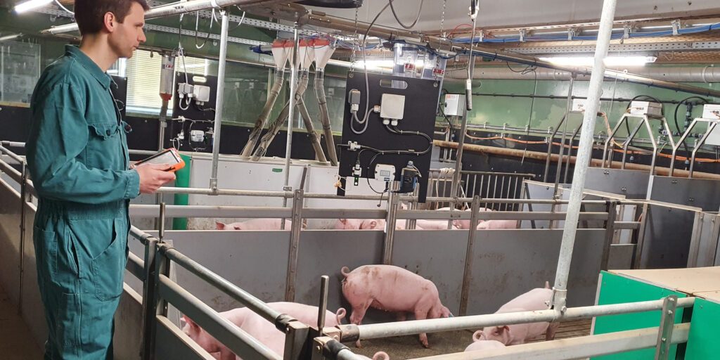 KI im Schweinestall kann Fachkräfte nicht ersetzen