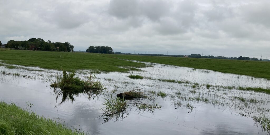 Landwirte kämpfen mit der Nässe auf den Feldern